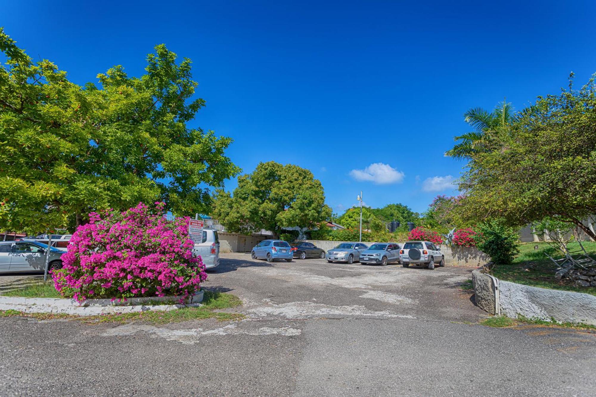 Montego Bay Club Apartments Eksteriør billede