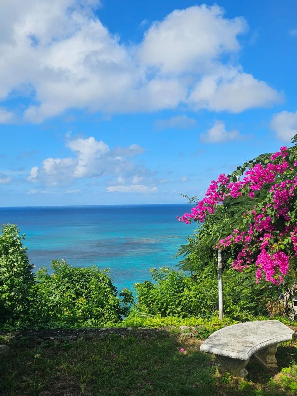 Montego Bay Club Apartments Eksteriør billede